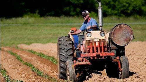 Parlamentul a aprobat primele două legi din pachetul de măsuri: creșterea salariului minim în agricultură și industria agro-alimentară la 3.000 de lei și dublarea normei de hrană pentru pacienții spitalelor