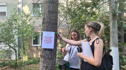 Locuitorii dintr-un cartier din Oradea protestează împotriva construcției unei străzi: mai mulți arbori ar urma să fie tăiați / ”Nu suntem împotriva modernizării, dar vrem ca totul să se facă cu cap”