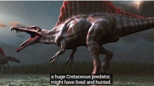 VIDEO Oamenii de știință au descoperit prima specie de dinozaur înotător: Spinosaurus aegyptiacus, un carnivor din Cretacic care ajungea la 7 metri lungime