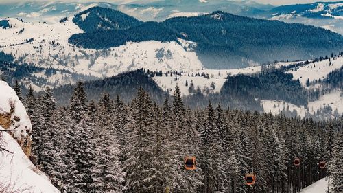 Bucovina, inclusă într-un circuit turistic internațional de lux / Prețul unui bilet este de aproximativ 130.000 de dolari / Circuitul „Regate şi culturi” durează 20 de zile, iar deplasările se fac cu un avion privat