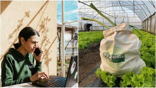 Fermieri cu valoare adăugată: Ferma Legume Verzi produce, pe lângă legume proaspete, sos de roșii sau zacuscă sub brandul SELO / Vânzarea de produse procesate, o „gură de aer” în sezonul rece pentru un fermier