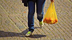 Consumul de pungi de plastic subţiri continuă să scadă în UE