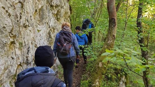 Băiatul de 11 ani dat dispărut în Dolj a fost găsit de un cioban / Va fi dus la spital / A fost căutat pe timpul nopții de poliţişti, jandarmi, pompieri şi voluntari