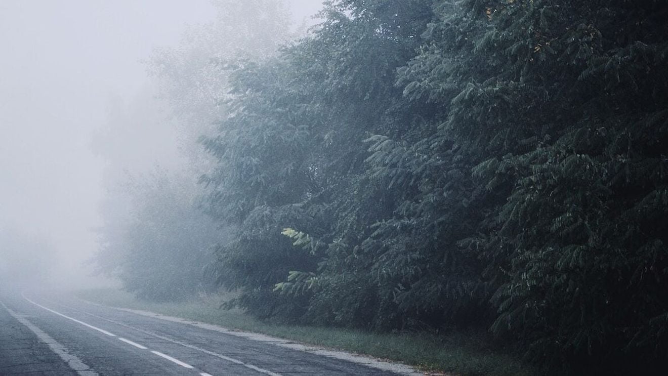 Cod galben de ceață în județele Constanța și Tulcea / Vizibilitatea sub 50 de metri în unele zone