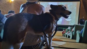 FOTO Festivalul Anonimul, locul unde oamenii se împrietenesc cu animalele și cu ei înșiși