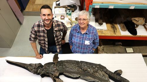 "Dragonul-sabie", o nouă specie de reptilă marină preistorică identificată de oamenii de ştiinţă de la Universitatea din Manchester / Are mărimea unui delfin