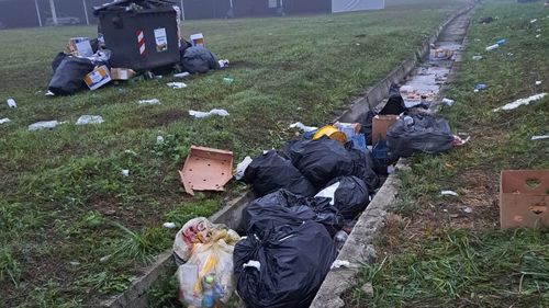 Mormane de gunoaie lăsate în urmă la Țebea de românii care l-au comemorat pe Avram Iancu