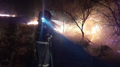 Incendiu de vegetație pe aproximativ 1.000 de hectare, în Delta Dunării/ Focul a fost stins după 11 ore de intervenție