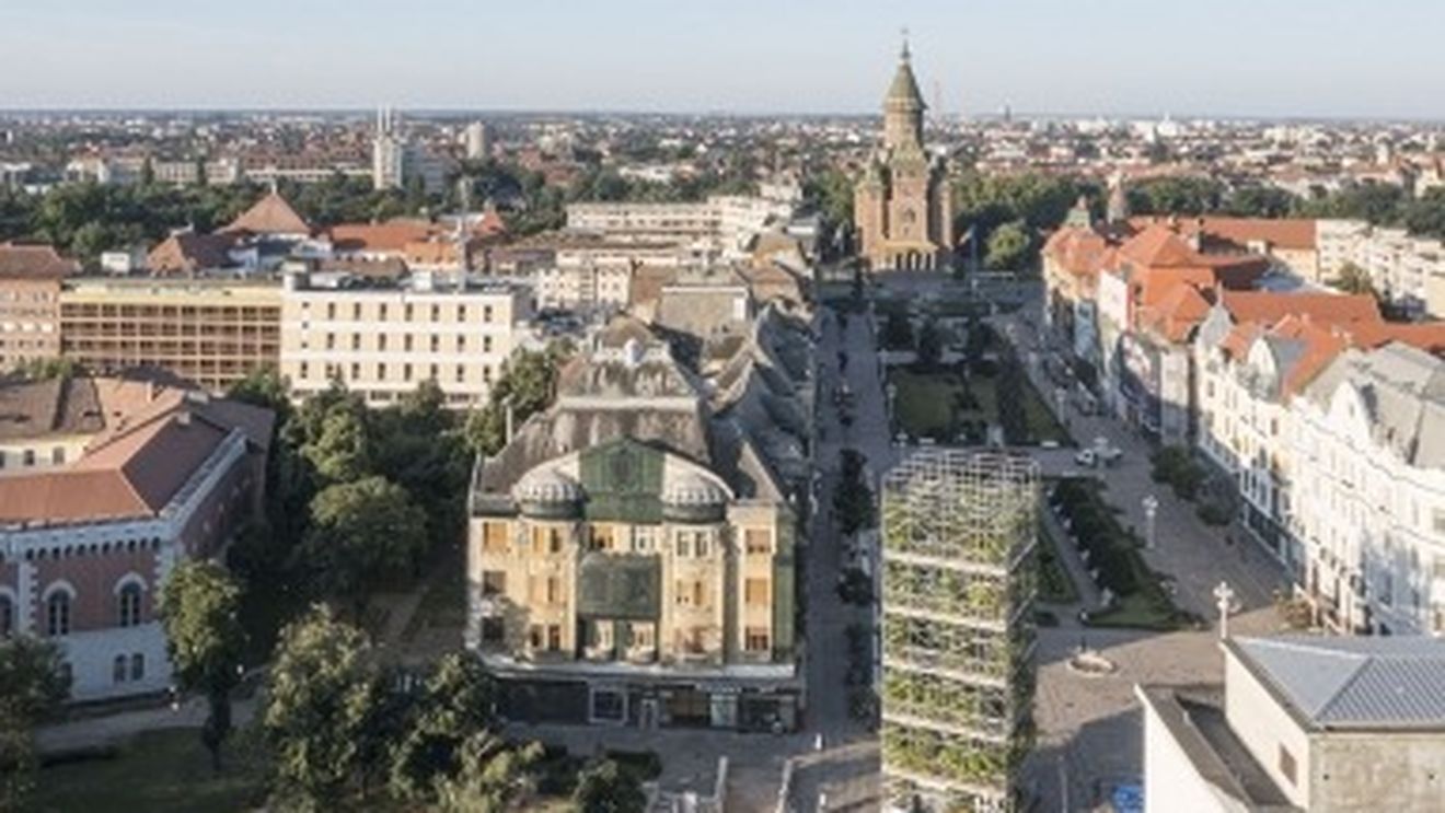 Plantele crescute în centrul Timișoarei, în timpul anului Capitalei Culturale Europene vor fi replantate în diferite zone din oraș / Proiectul a fost nominalizat la Premiul Uniunii Europene pentru Arhitectură Contemporan