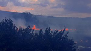 Prahova: Mai multe solarii, distruse de un incendiu de vegetaţie uscată care a izbucnit în Poienarii Apostoli