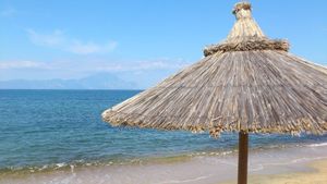 Secretarul de stat pentru Turism: România este pregătită să introducă certificatul digital verde, integrarea cu o bază de date comună la nivel european ar fi destul de facilă / Dacă decizia întârzie la nivel european, vom începe discuții bilaterale cu mai multe state
