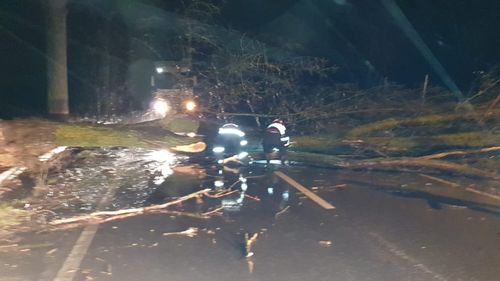 Autostrada Soarelui a fost închisă. Vântul ajunge la 170 km/oră, asemenea uraganelor de nivelul întâi/ Mai multe localități au rămas fără curent electric