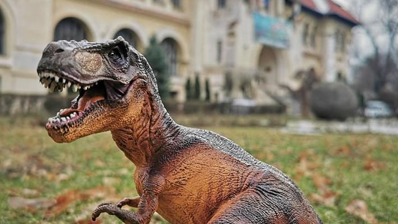 Unde au apărut prima dată dinozaurii? Oamenii de ştiinţă propun un răspuns