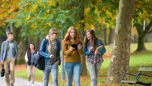 GRAFIC Domeniile cu cele mai multe locuri de muncă, până în 2030: România va avea nevoie de peste 150 de mii de profesori