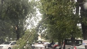 Vijelie puternică și averse în localități din județele Brașov, Covasna, Botoșani, Suceava și Iași
