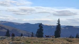 Turismul rural din Maramureș este afectat de lipsa zăpezii; pensiunile din vecinătatea domeniilor schiabile, preferate / ”De Crăciun și Anul Nou majoritatea au preferat să rămână în pensiune din cauza vremii neprietenoase”