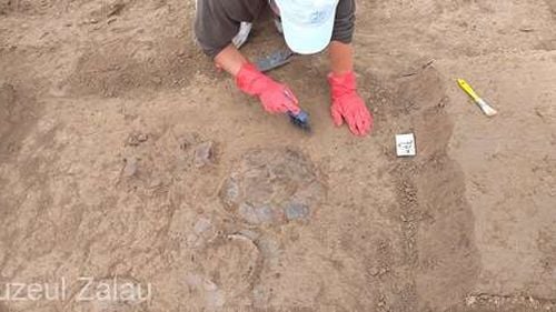 Arheologii din Zalău au descoperit 19 morminte din mileniul II î.Hr., cu rămășițe umane și animale incinerate