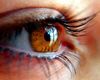 Cum previi oboseala oculară în era digitală și ce să mănânci ca să vezi bine / Medic: Nu există „timp perfect sigur” în care să ne uităm în ecrane