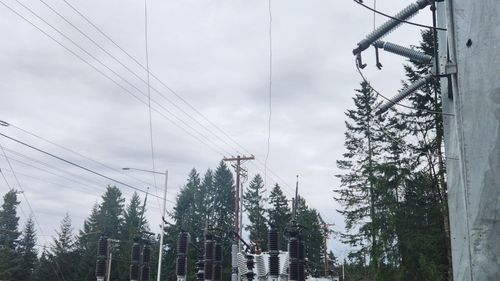 SUA: Vandalizarea unor centrale electrice provoacă temeri legate de o posibilă campanie țintită a extremei drepte
