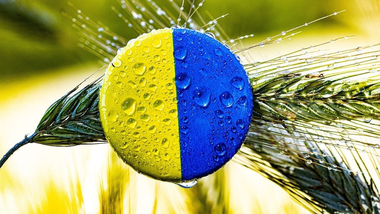 Statele UE, divizate în privința restricțiilor la importurile agricole care vor fi impuse Ucrainei