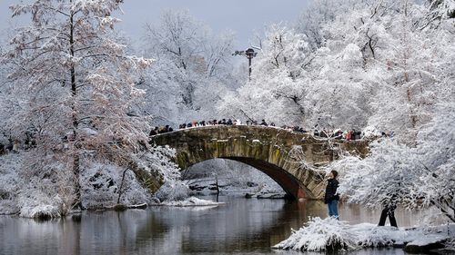 Schi și sănii în Central Park, lac înghețat... Imagini feerice din New York-ul sub zăpadă
