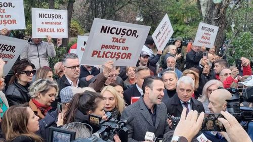 Clotilde Armand îi îndeamnă pe social-democrații lui Negoiță să pună mâna pe carte: Nu pot să mă abțin, toate mesajele au virgula între subiect și predicat