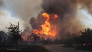 VIDEO România trimite 77 de pompieri cu 17 mijloace de intervenție în Franța, pentru a ajuta la stingerea incendiilor, anunță Arafat / Forțele românești și echipamentele pleacă cu două avioane NATO / Emmanuel Macron a mulțumit României