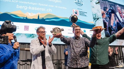 Locul de unde vine cea mai bună brânză din lume! Cine a primit marele premiu World Cheese Awards 2025