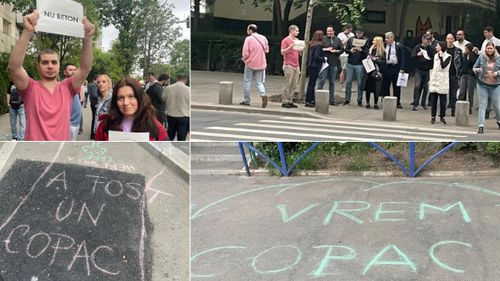 FOTOREPORTAJ „Vrem copaci, nu beton”. Protest cu traversarea străzii, în cartierul Tineretului din București împotriva deciziei unilaterala a Primăriei Sectorului 4 de a betona din alveolele de pe bulevard pentru a face locuri de parcare
