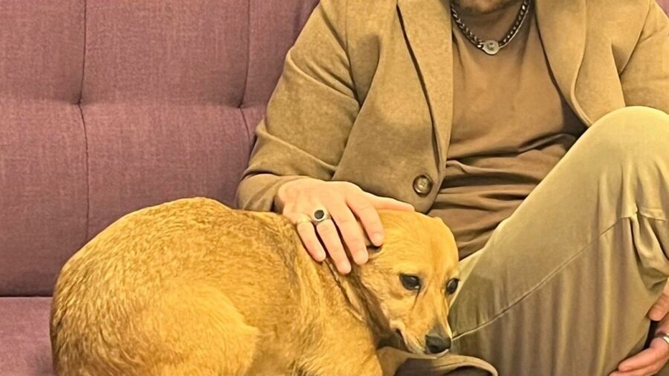 Teatrul de Comedie a adoptat o cățelușă din adăpostul Primăriei București: ”Încă nu a învățat cum se râde la Comedie, dar ochii ei par că ne zâmbesc mereu. Și tu poți schimba poveștile de viață ale cățeilor de la ASPA”