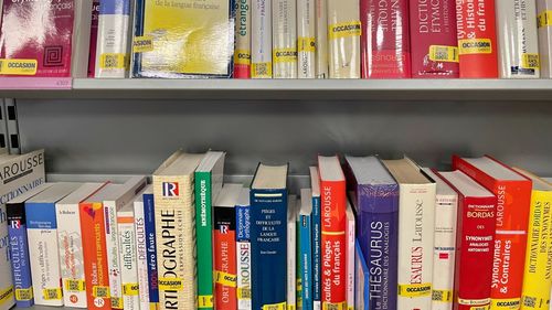 Impactul premiului Goncourt este „uriaș și imediat”. Profesoara Lidia Cotea, coordonatoarea Juriului Universității din București pentru premiul literar francez: Viața unui autor laureat se schimbă radical