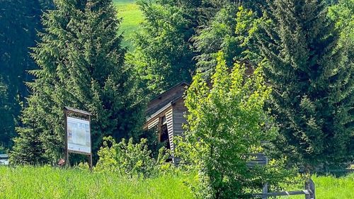 Peste 70%, grad de ocupare, în Poiana Brașov, de 1 Mai / ”Nu suntem o destinație preferată pentru că marea întotdeauna a fost cea care a atras turiștii de 1 Mai” / ”Îi îndemnăm pe turiști să stea în aer liber, în natură”