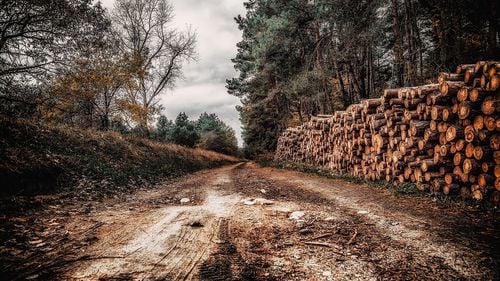 Premierul Cîţu le recomandă victimelor agresiunii de la Suceava să depună plângeri penale împotriva atacatorilor: Altfel nu ştiu dacă poliţia poate legal să facă ceva