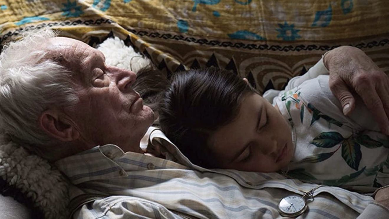 Ce filme de Oscar pot fi văzute începând de miercuri la Muzeul Țăranului Român în cadrul American Independent Film Festival