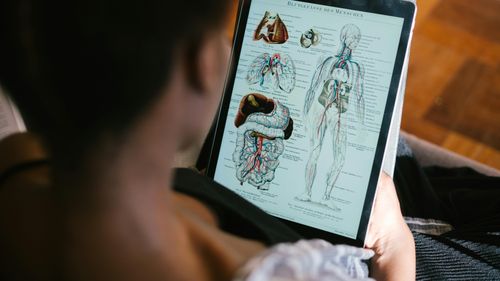 După o donaţie de un miliard de dolari, o şcoală de medicină din Bronx, New York, renunţă la taxele de şcolarizare / Banii, oferiți de o fostă profesoară