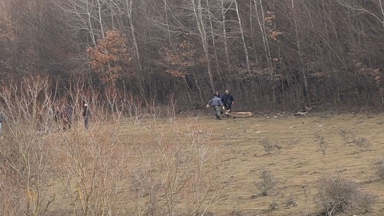 Șeful DSV Cluj, în scandalul ranch-ului în care sute de animale au fost lăsate să moară: La controale s-a constatat că animalele nu erau furajate corespunzător