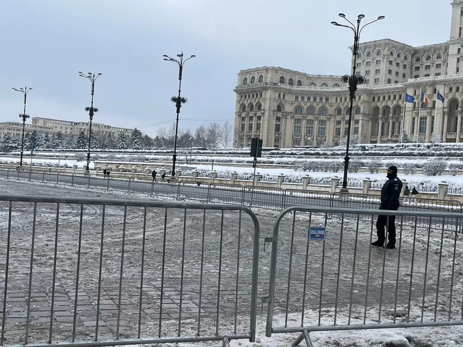 Protest Piața Constitutiei