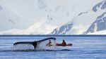 Temperaturi record în Antarctica la începutul iernii australe: 20 grade Celsius peste valorile medii / Temperatura maximă medie pentru luna iunie este de aproximativ -6,2°C