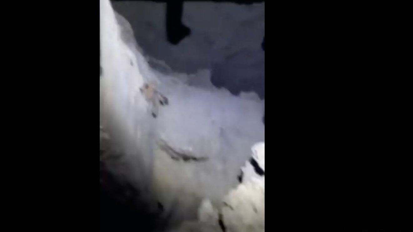 VIDEO Nicuşor Dan, despre degradarea galeriilor de termoficare: Mai mult de jumătate dintre conductele magistrale au aproape 50 de ani