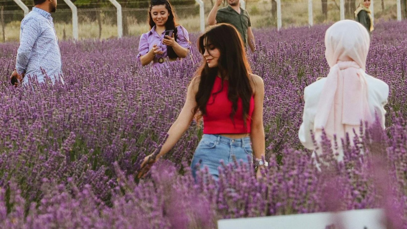 Cele mai frumoase destinații de turism floral de vizitat în 2026
