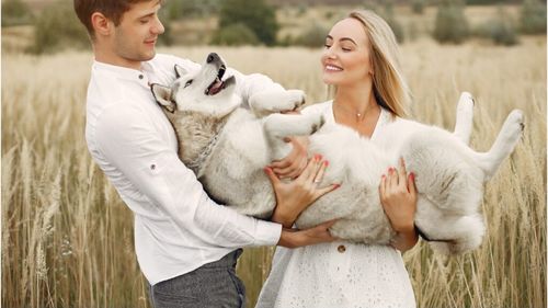 Animalele de companie din Spania, disputate în instanță în caz de divorț. Judecătorii vor lua în considerare bunăstarea patrupezilor