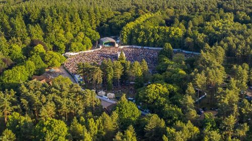 Ministrul Mediului: Primăriile nu au accesat banii pentru plantarea pădurilor urbane / Multe unităţi administrativ-teritoriale gândesc pe termen scurt