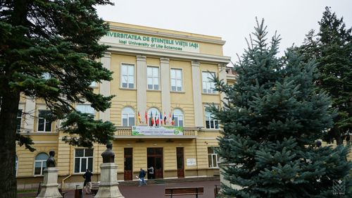 Profesor universitar ieșean, acuzat de comportamente nepotrivite cu tentă sexuală față de studentete / Este cercetat de Comisia de Etică