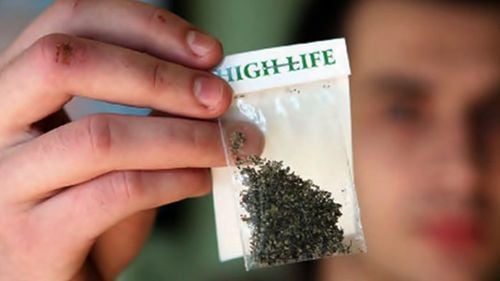 Percheziţii în Iaşi la traficanţi de etnobotanice / Au fost reținuți șapte suspecți