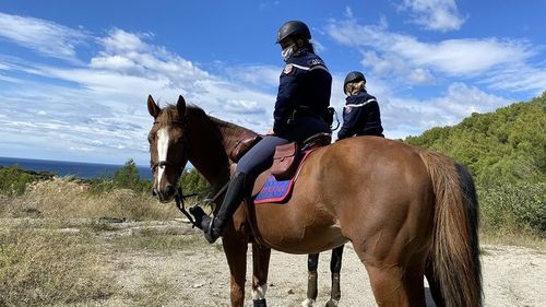 Un cal, o şa şi o sabie - cadourile Franţei pentru Regina Elisabeta a II-a