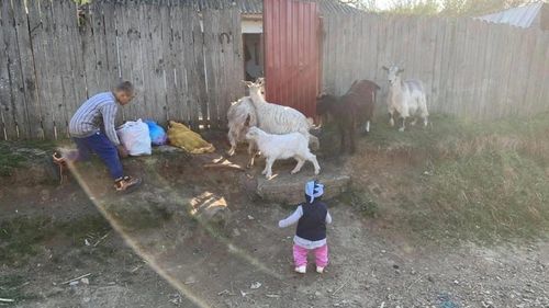 Tichet electronic de energie de 50 lei lunar pentru persoanele vulnerabile, prevede un proiect al Ministerului Muncii