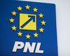 PNL: Vom analiza săptămâna viitoare programul de guvernare și formula politică pe care premierul desemnat le va propune / Nu vom participa la formarea și nu vom face parte din niciun guvern în care PSD este prezent, direct sau indirect