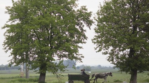 INS: Peste 28.000 de km dintre drumurile României, aproape o treime, sunt pietruite şi de pământ