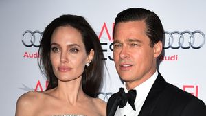 Brad Pitt susține că vânzarea de către Angelina Jolie a jumătate din podgoria lor din Franța către un oligarh rus i-a pătat imaginea