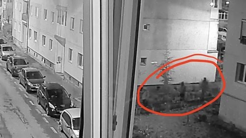 OFICIAL: Au fost identificați cei trei bărbați care l-ar fi ucis pe omul de afaceri sibian Adrian Kreiner / Sunt din Dolj și cel mai probabil deja au părăsit țara